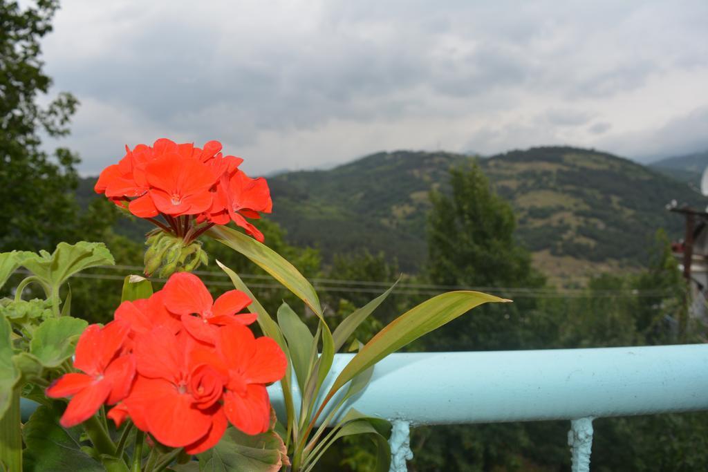 Sweet Home Dilijan Eksteriør billede